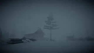 Heavy Blizzard Storm at Night┇Howling Wind & Blowing Snow┇Sounds for Sleep, Study & Relaxation