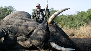 BFHA | Season 1, Episode 10 | Cape Buffalo & Elephant