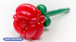 Rose from balloons