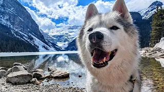 My Husky Explores The Most Stunning Lake On Earth!