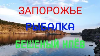 РЫБАЛКА В ЗАПОРОЖЬЕ ТАКОГО КЛЕВА ЕЩЕ НЕ БЫЛО (скала ,,Обезьяна,,) -- 12.09.2023