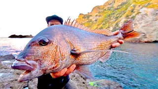 SNAPPER FISHING PARADISE