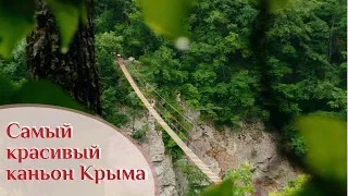 🌍 Крым | Большой каньон | Завалило самый красивый источник | Клещи 🌍