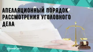 Апелляционный порядок рассмотрения уголовного дела