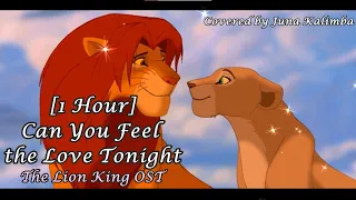 [1 Hour] [The Lion King OST] Can You Feel the Love Tonight ㅣ Kalimba