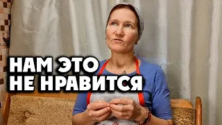 СКАЖЕМ И ПОКАЖЕМ❗ 20 января 2023