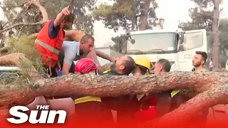 Fire-damaged tree falls on emergency worker during live broadcast in INTENSE moment
