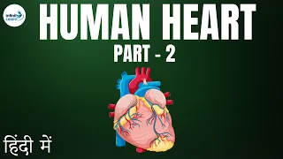 Life Processes - Lesson 21 | Human Heart (Part 2) - in Hindi (हिंदी में ) | Infinity Learn