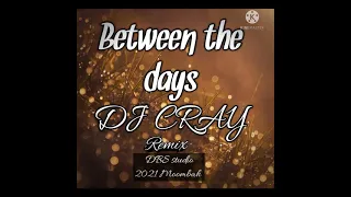 Between the Days (2021 MOOMBAH CHILL REMIX)_Dj Cray