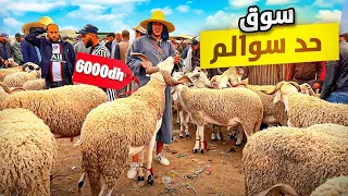 اليوم من سوق حد السوالم نوحي الدار البيضاء 🇲🇦مع أثمنة حولي عيد الأضحى 🐑02/06/2024#الله_يغلبنا_عليهم