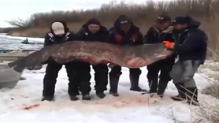 Такой рыбалки Вы ещё не видели. Странный улов.