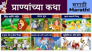 प्राण्यांच्या कथा | सिंह आणि उंदीर | जंगल बुक | Animal Stories in Marath Fairy Tales