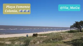 Verano 2024, Costas del Río de la Plata  Playa Fomento, Colonia, ,🇺🇾🇺🇾🇺🇾