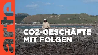 Neuseeland: Carbon Farms mit Nebenwirkungen | ARTE Reportage