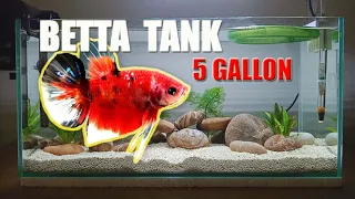 SETTING UP simple  BETTA TANK 5 GALLON