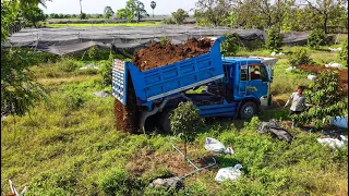 Perfect first Start New Project!! filling land by 5ton truck loading soil with  mini bulldozer