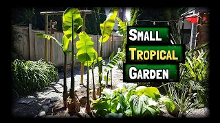 Small Tropical Garden🌴ADVENTURE episode 2 - SPRING 2021 - Zone 8 Vancouver Canada