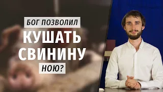 Каких животных Бог позволил кушать Ною?