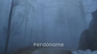 Perdoname - Steve Green