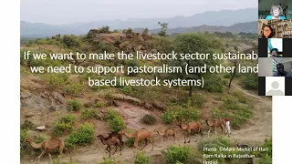 Online-Seminar: Accounting for Pastoralists