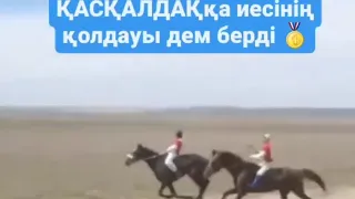 🔥КОНЦОВКА🔥 АЛАМАН бәйге 🔥🥇🏇ҚасҚалдақ🏇🥇🔥