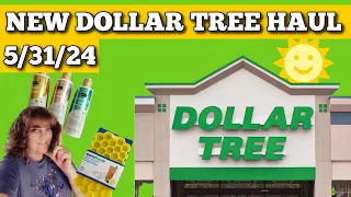 Amazing Dollar Tree Haul With Surprise Photos At The End