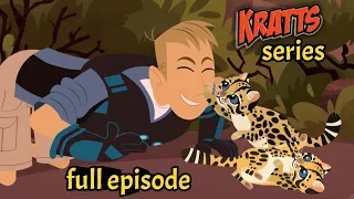 wild Kratts - spots in the desert - Kratts series - full episode - desenho sobre animais