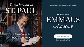 FREE SAMPLE! Introduction to St. Paul