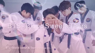 BTS - Blood sweet & Tears Taekwondo ver  방탄소년단 - 피땀눈물 태권도 버전