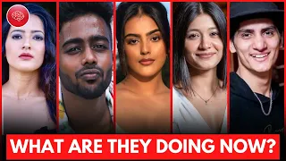 What Are Splitsvilla X4 Contestants Doing Now? Justin, Sakshi, Soundous & More