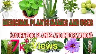 Medicinal plants names and use