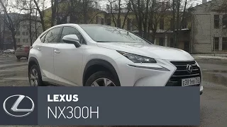 Lexus NX 300h: очень дорогая экономия топлива