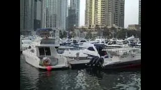 Dubai Marina and the Palm Island