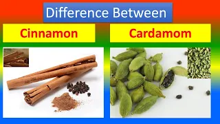 Difference between medical and health benefits of Cinnamon  and  Cardamom