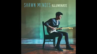 Shawn Mendes - There's Nothing Holdin' Me Back (Official Instrumental + Backing vocals)