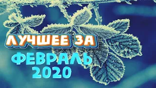 Смешное за февраль 2020 - приколы, глюки, баги и просто смешные моменты в играх