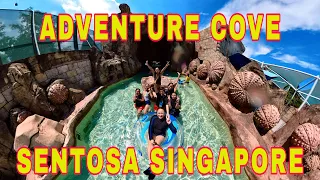 Adventure Cove Waterpark 2022, Resorts World Sentosa,Full tour Dolphin Bay & Sides #Adventurecove