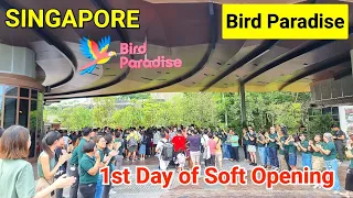 Singapore Bird Park First Day Opening | Bird Paradise Singapore | Singapore Bird Park Show