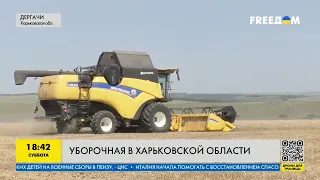Их не сломили обстрелы: как фермеры на Харьковщине продолжают вести битву за урожай