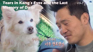 Tears in Kang's Eyes and the Last Memory of Da-ol [Dogs Are Incredible]