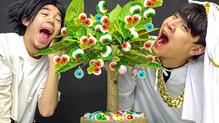 Mukbang Jelly Tree Food Challenge 젤리 나무 챌린지 먹방