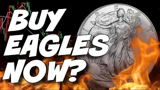 Is it SAFE To Buy American Silver Eagles Now?