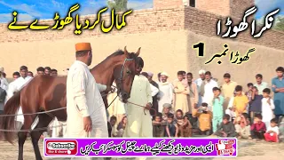 Best horse dance in pakistan Top 10 #dhol #horse #horsedance
