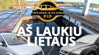 LT PiP S02E14 AŠ LAUKIU LIETAUS