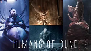 Human Types, Hybrids and Evolved Forms in Dune