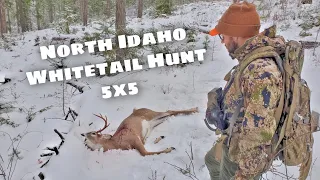 North Idaho Whitetail Hunt - 5 x 5