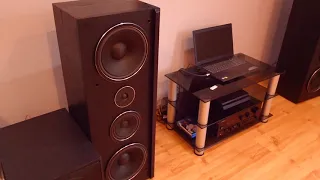 Tonsil Voyager 350 & Pioneer 717 #1