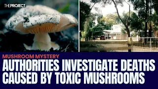 Authorities Investigate Deaths Caused By Toxic Mushrooms