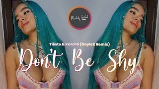 Tiësto & Karol G - Don't Be Shy (DoyleX Remix)