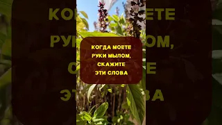 Когда моете руки мылом, скажите эти слова, смоете любой сглаз или порчу #shorts